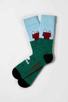 Calcetines altos Besocks de algodón orgánico color azul celeste y verde