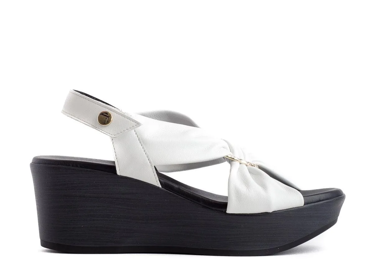 Paula Urban 31-613