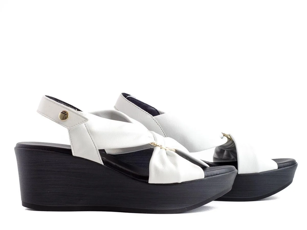 Paula Urban 31-613